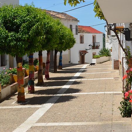 Vila Casa La Puente Jubrique Exteriér fotografie