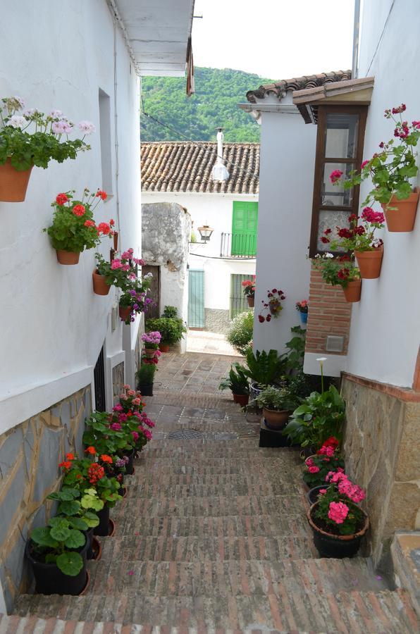 Vila Casa La Puente Jubrique Exteriér fotografie